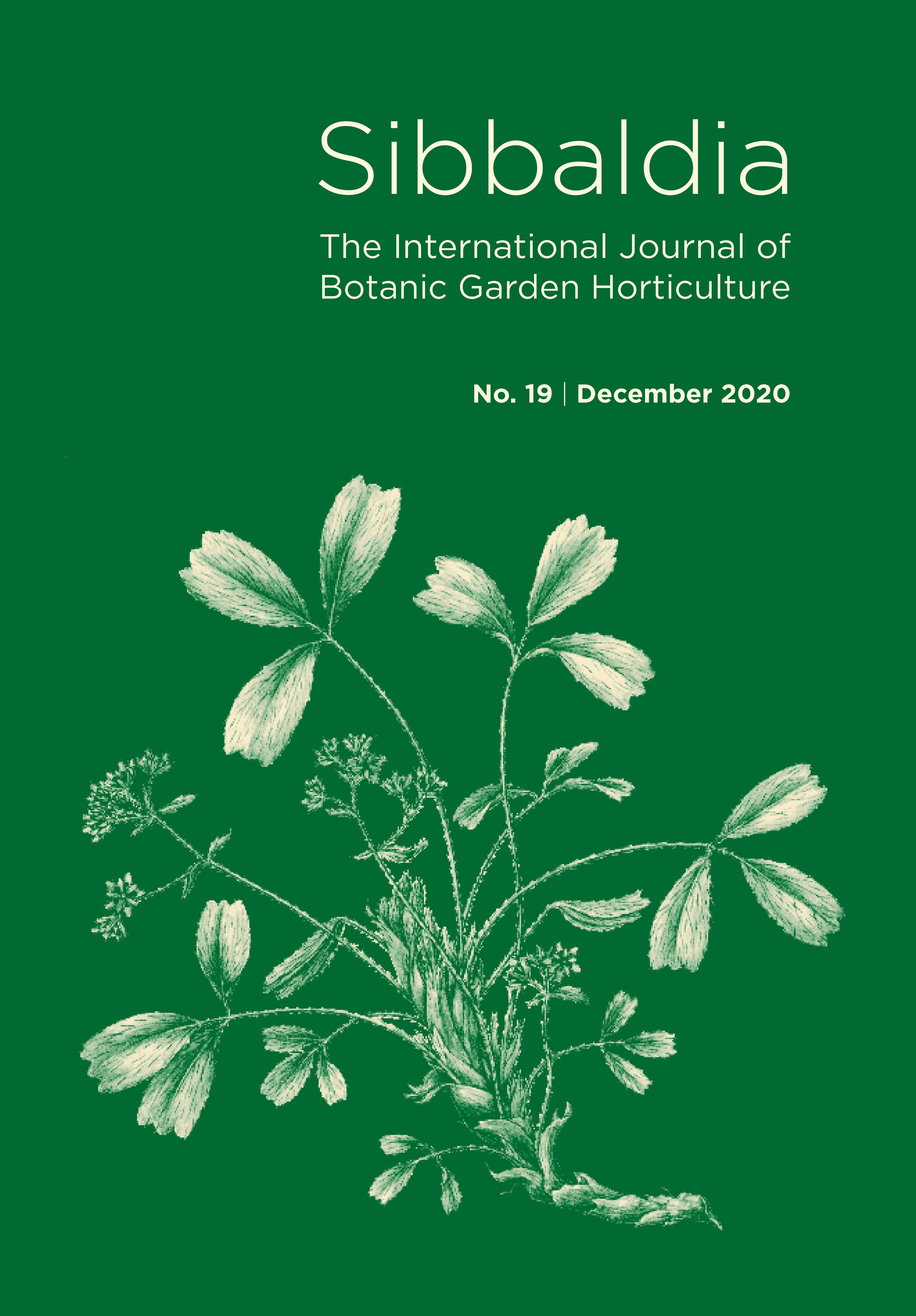 Cover of Sibbaldia number 19 December 2020 features Sibbaldia procumbens