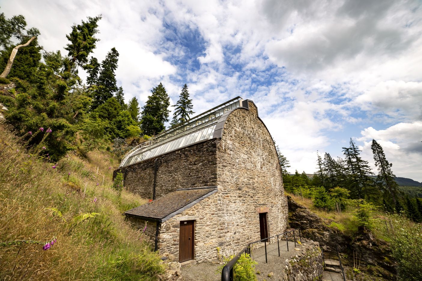 Restored fernery Benmore Botanic Garden