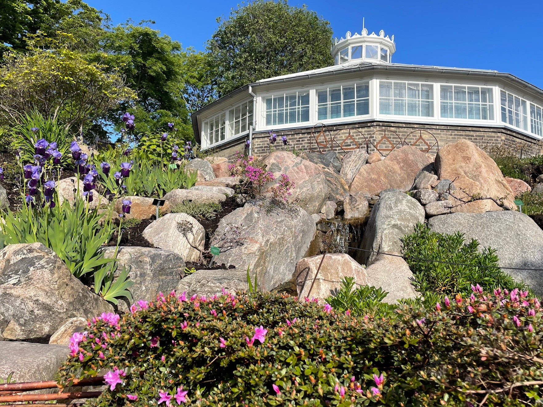 The Rhododendron Quarter at the Botanic Garden of Copenhagen