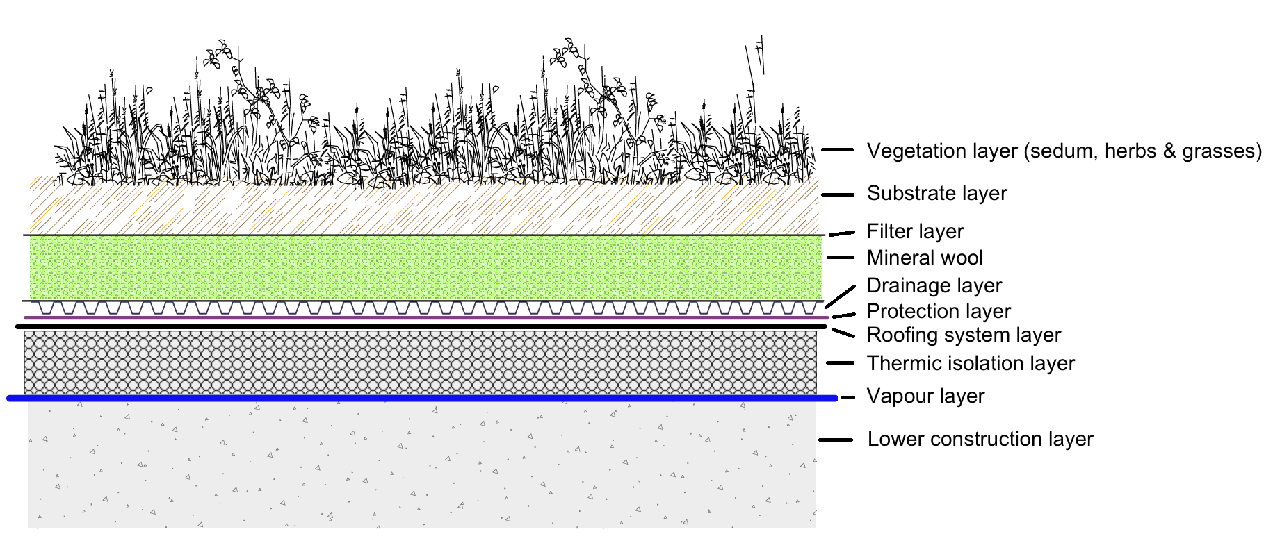Drawing of green roof composition and layers