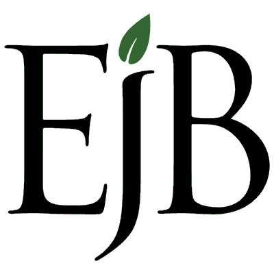 EJB Logo