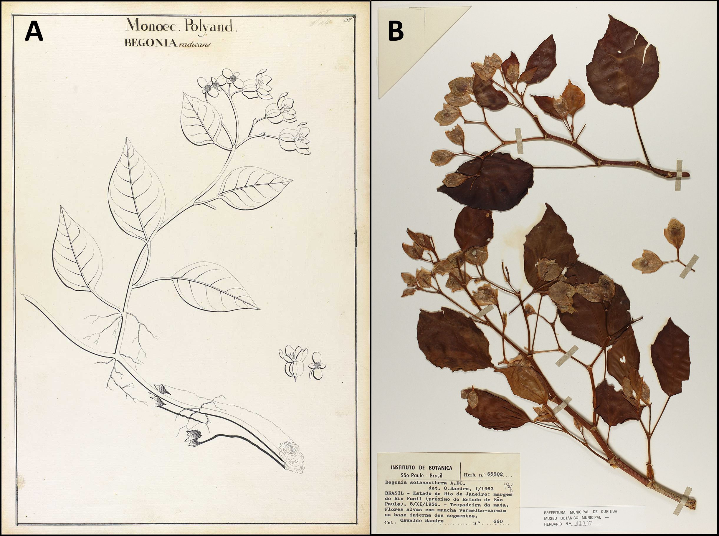 An image from the paper