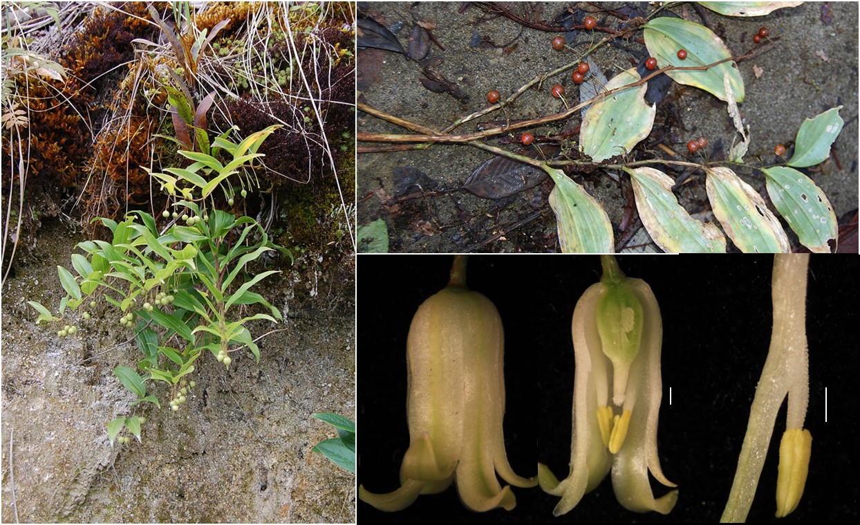 An image from the paper