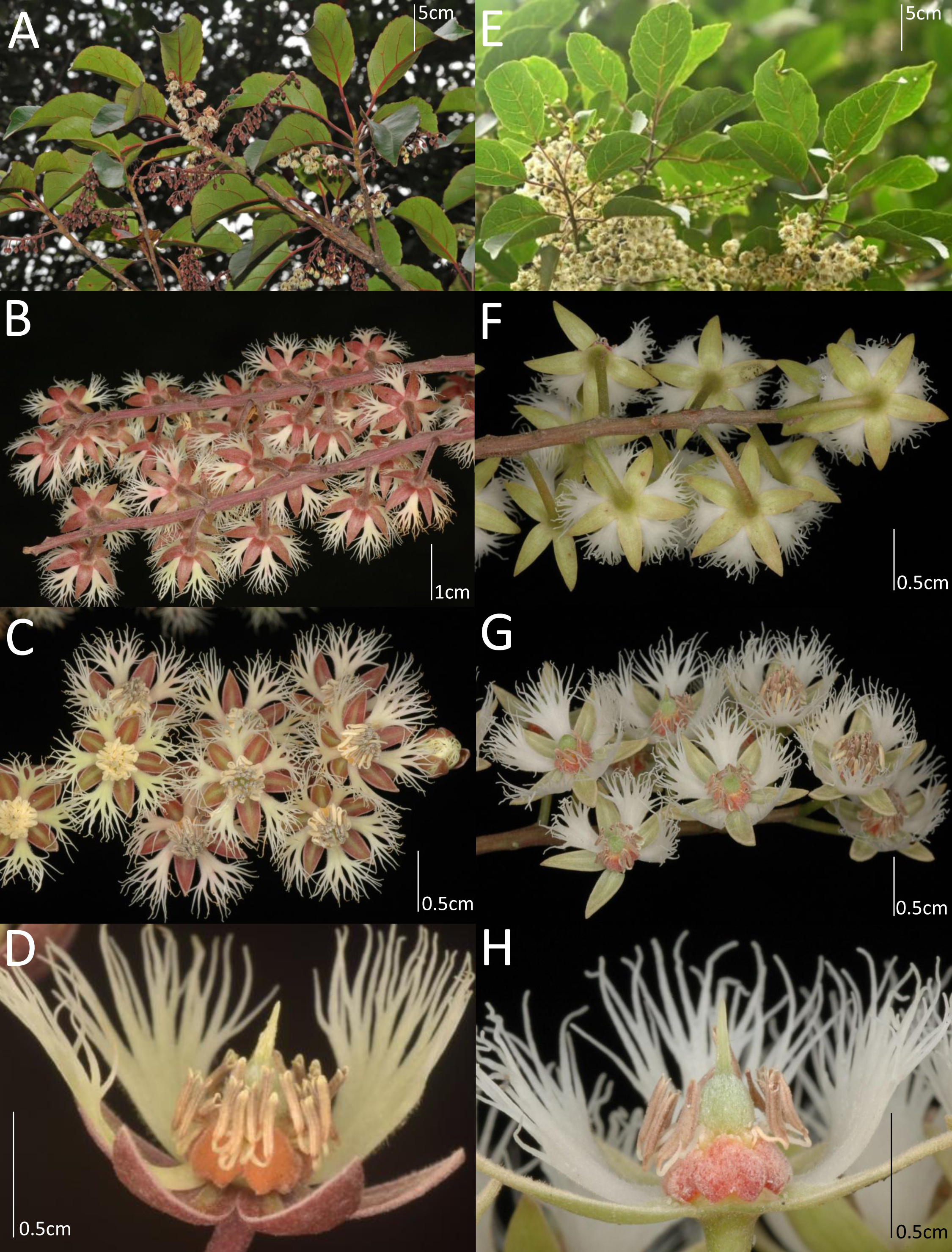 An image from the paper