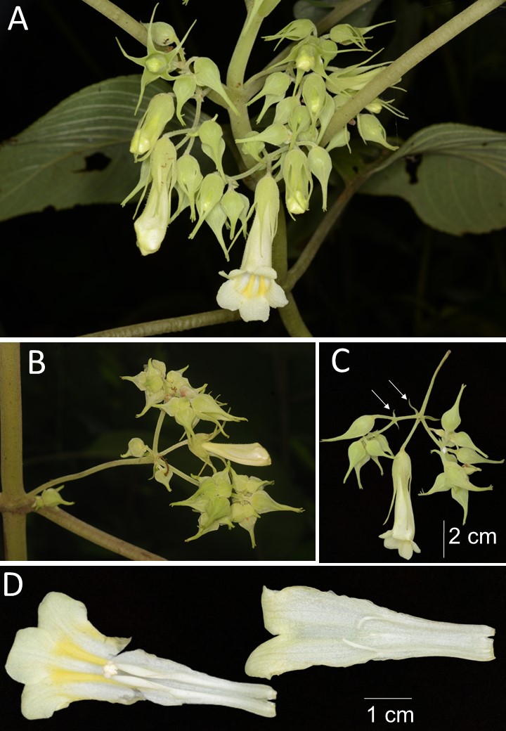 An image from the paper