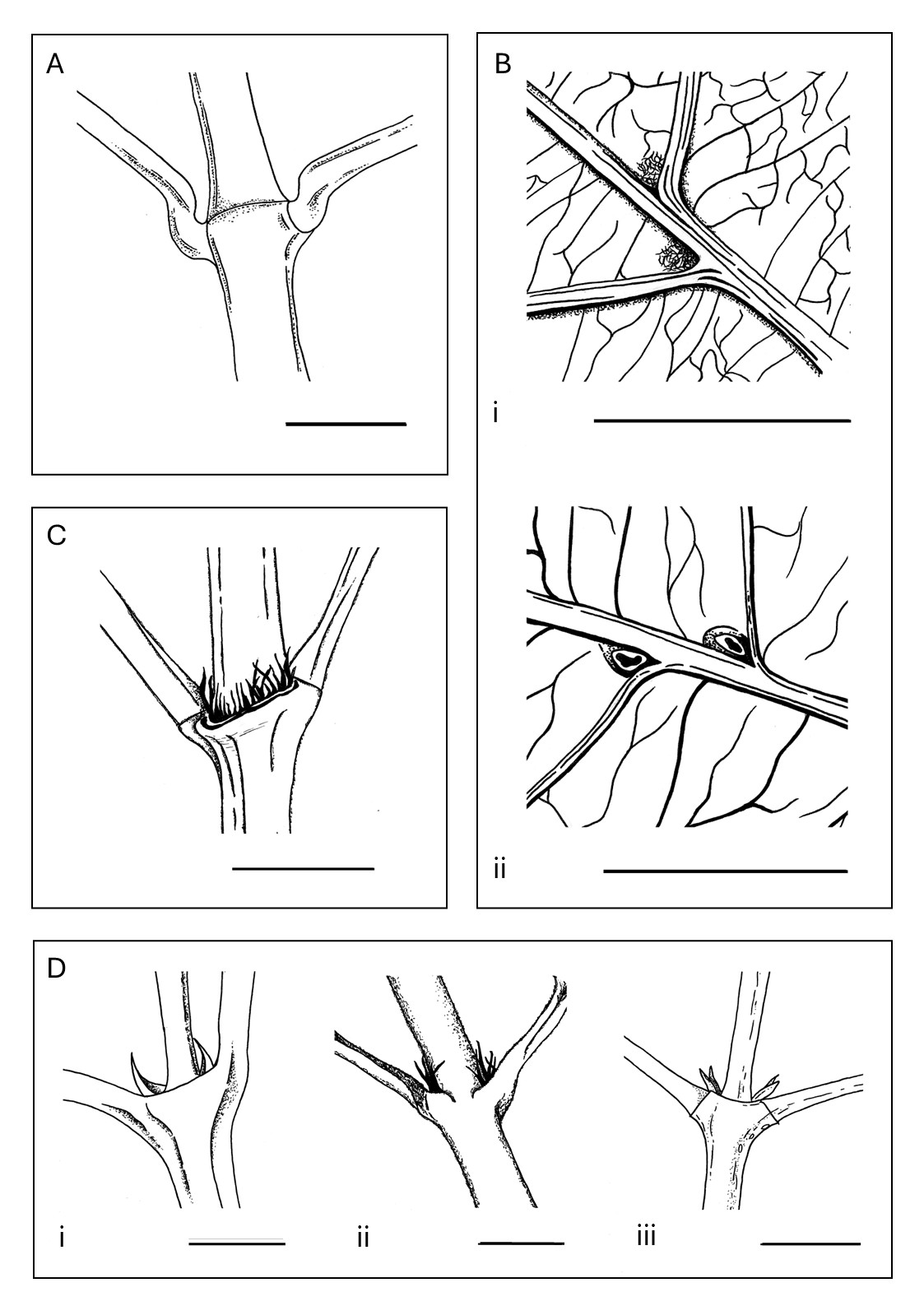 An image from the paper
