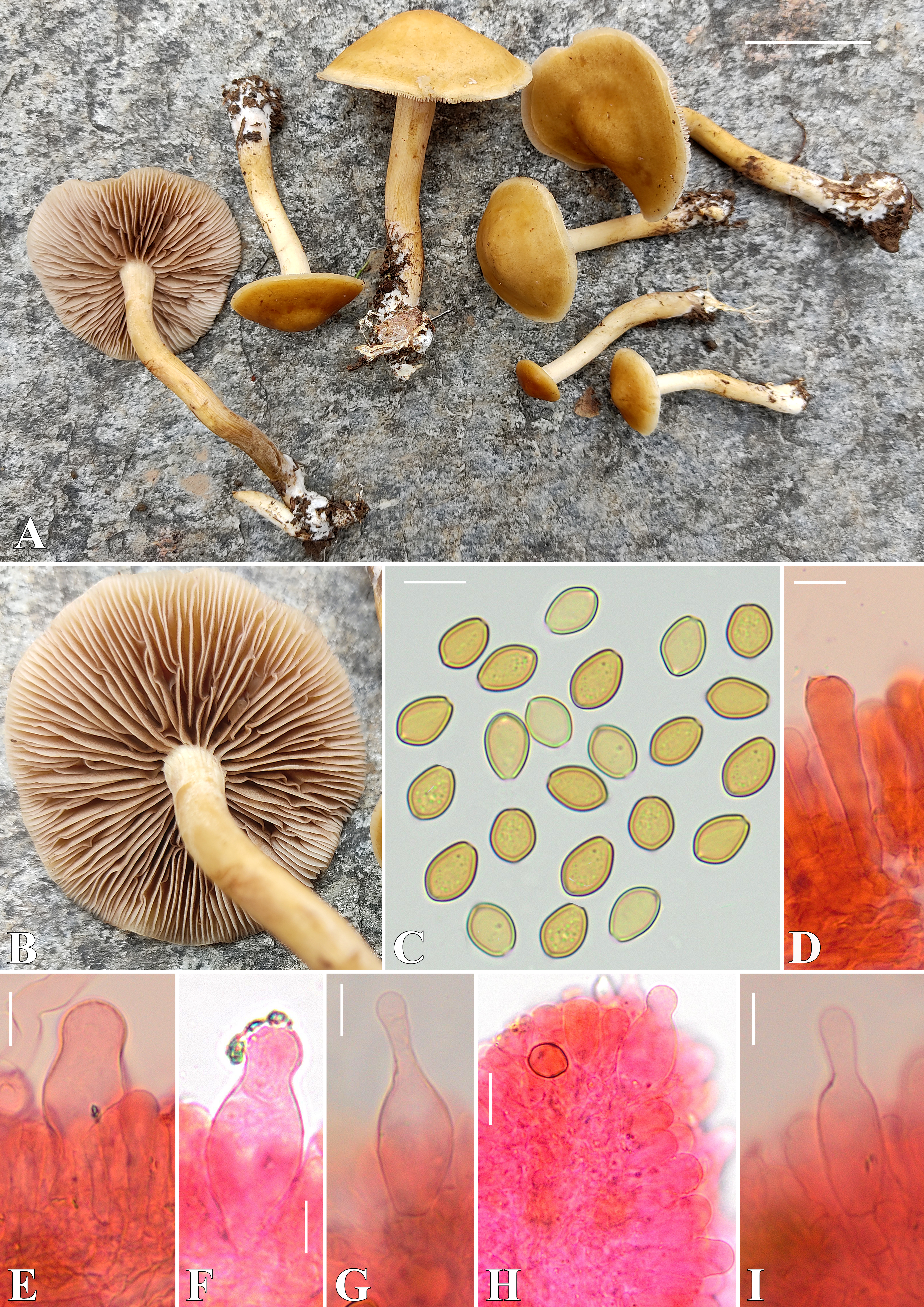 An image from the paper